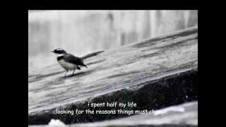 will of the wind (jamie rivera)