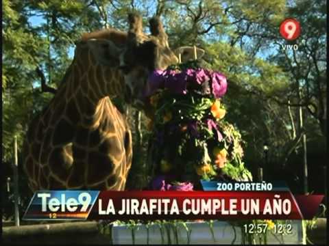 Tele 9 al mediodía Jueves 24 de Julio 2014