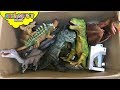 100 DINOSAUR TOYS IN A BOX! Skyheart opens jurassic world dinosaurs for kids trex figures