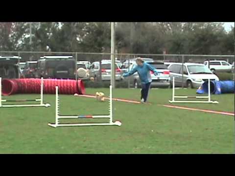 Normie-AAM 6870 SAT-NOV-CHN