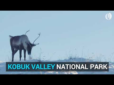 Why You Should Check Out These Least Visited National Parks