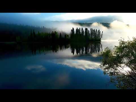 8 Hours Loon Calls With Windstorm Sound - Loon Calls For Relaxing; *NO MUSIC*