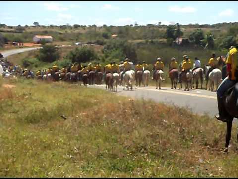 Cavalgada Da Paz