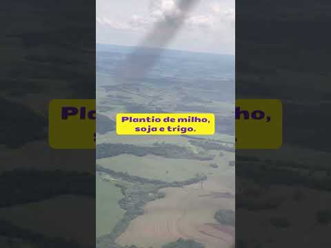 #Shorts-Ribeirão do Pinhal uma vista aérea - #cidadesdoparana #agropecuaria #paraná