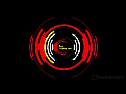 Officially Missing You (Midi Mafia Mix Aka Radio Main) - Tamia