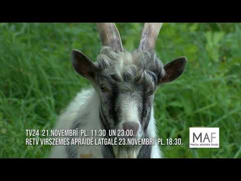 Jau drīz “Latvijas ciemi - autoveikalam pa pēdām” 2.raidījums!