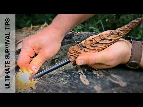 Survival QUICK TIP #4:  What is Fatwood - How Can It SAVE YOUR LIFE - Fatwood Firestarter