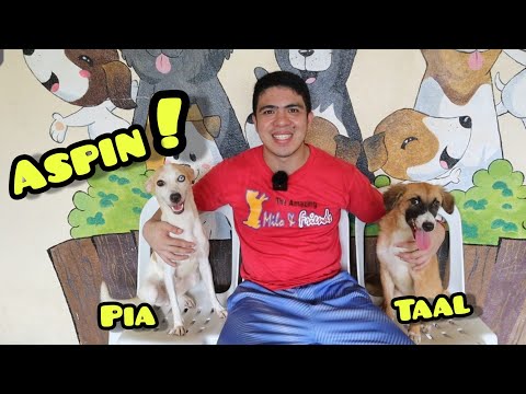 NATUTURUAN BA ANG MGA ASPIN?