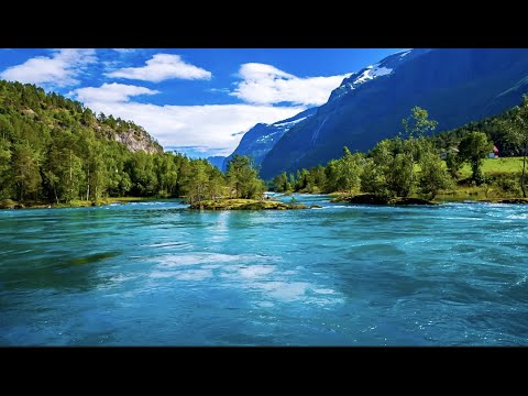 When Thy Song Flows Through Me - Live Kirtan: Paramahansa Yogananda's Cosmic Chant