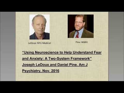 The Neuroscience of Differentiation to Help Understand Fear and Anxiety