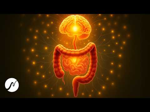Darm-Harmonie: 292 Hz + 7 Hz Frequenzen für dein zweites Gehirn (Enterisches Nervensystem)