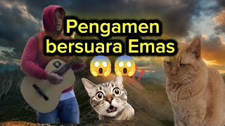 Download lagu Pengamen Bersuara Emas di Jalanan – Bikin Merinding Dengarnya! mp3 Download lagu Pengamen Bersuara Emas di Jalanan – Bikin Merinding Dengarnya! mp3