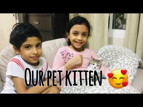 Introducing 'Tasha' | Fathi & Hamdan