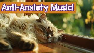 Relaxing Music for Cats Home Alone 🐾 Keep Your Cat Calm While You're Away