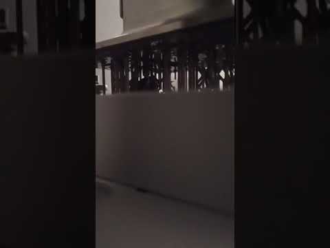 Phrozen Sonic Mini 4k - Loud popping sound