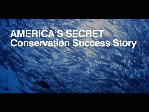 America's secret conservation success story