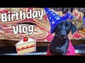 The One With Blakey S Birthday