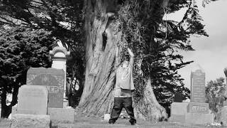 Pain &amp; Envy- Lil Joe The Don