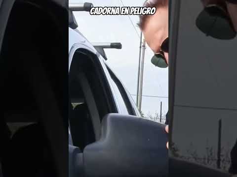 🔥 “Operativo en Tres Lomas: el Comisario Cadorna bajo fuego en el viejo matadero”