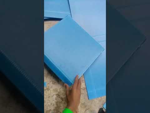 PP Box with foam