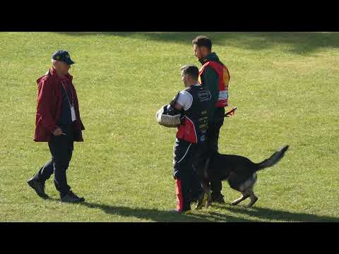 WUSV 2021 ESP 1 - MARCOS FERRÉ REAL LEO DE JARDINES DEL REAL C 96