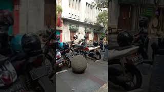 Download lagu Selamat Pagi Terang Bandung🌄🏙️ mp3 Download lagu Selamat Pagi Terang Bandung🌄🏙️ mp3