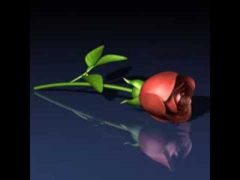 Kandula Thamatha Desa Addara