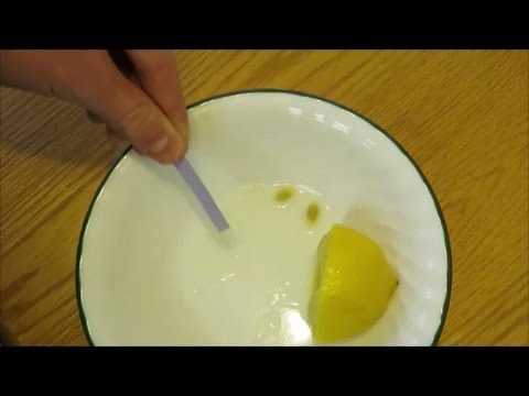 Chemistry Experiment 11.1 Litmus Tests (Berean Builders)