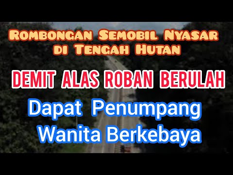 Skip Jika Takut || DEMIT ALAS ROBAN 1SENG || ROMBONGAN SEMOBIL NYASAR DI TENGAH HUTAN