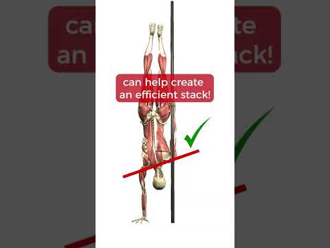 Pole Anatomy - Handstand