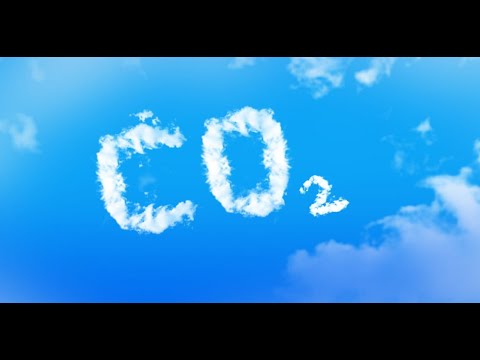 Veckans viktigaste händelser