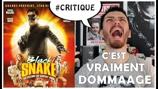 ValWho se paye "Black Snake : La Légende du Serpent Noir" ! Critique du Film