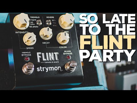 MY TREM & REVERB JOURNEY IS OVER! Strymon Flint (Demo)
