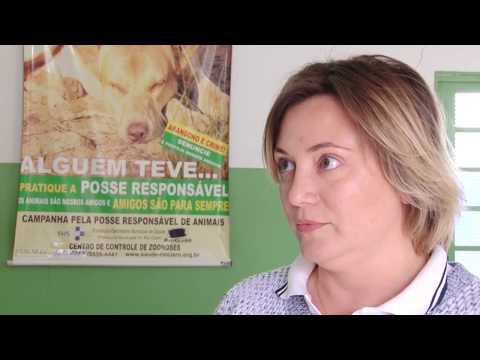 Vacinação antirrábica começa neste fim de semana