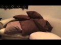 Pillow Bomb Slow Mo