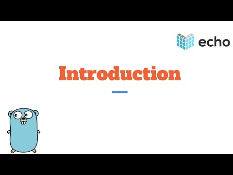 Echo API