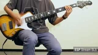 Video thumbnail for ESP / Stream-SL5【デジマート製品動画】 by digimartnet