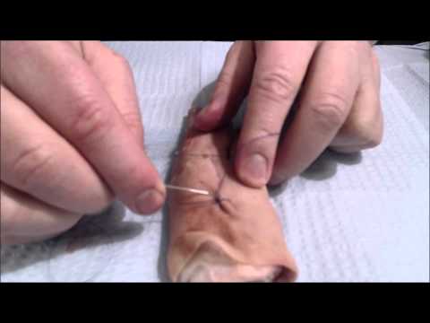 Performing a Running Locking Suture with a Straight Needle - Part 1 - Video 3 of 3