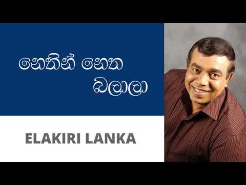 නෙතින් නෙත බලාලා - රෝහණ බෝගොඩ | Nethin netha balala - Rohana Bogoda
