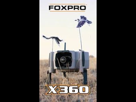 No BS FoxPro X360 Review