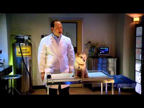 Dog With A Blog - Puppy Stan