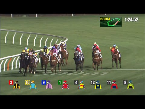 15/12/2021 (255) Kungfumaster Panda - V Borges