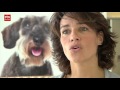 Hoe maak je een goede selfie met je huisdier?