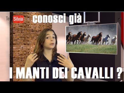 Medicinale per il dolore alle articolazioni Caratteristica del muscolo esercizio movimento della colonna vertebrale cervicale