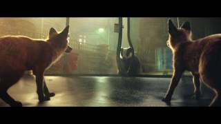 John Lewis Christmas Advert 2016   #BusterTheBoxer 360p