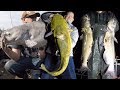 Ultimate FISHING CHALLENGE 300 Lb Catfish Challenge How To Catch BIG Catfish