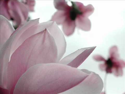 Sasha Martini feat. LowLex i Marsela - Lyubov Onlajn.wmv