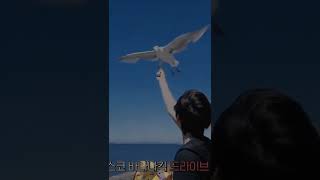 Download lagu why does he look so hot when he's just feeding the seagulls #cravity #minhee #kangminhee mp3 Download lagu why does he look so hot when he's just feeding the seagulls #cravity #minhee #kangminhee mp3