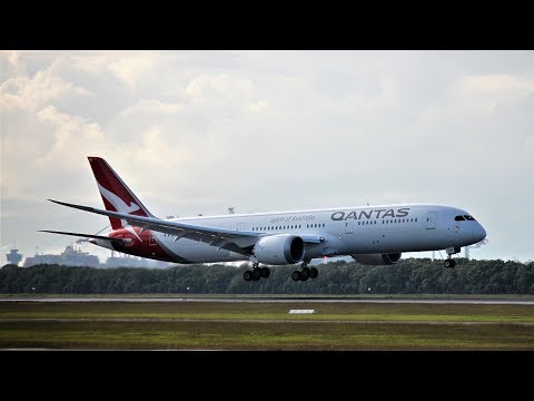 Brisbane Airport (YBBN) Plane Spotting - July 2018