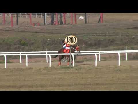 SINT FLORIDA - 220630 c06 1° KALI KIT